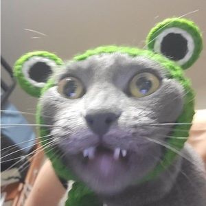 Meet your Posher, Danna